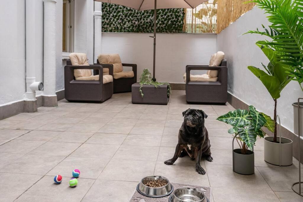 希洪El Patio De Schulz公寓 外观 照片