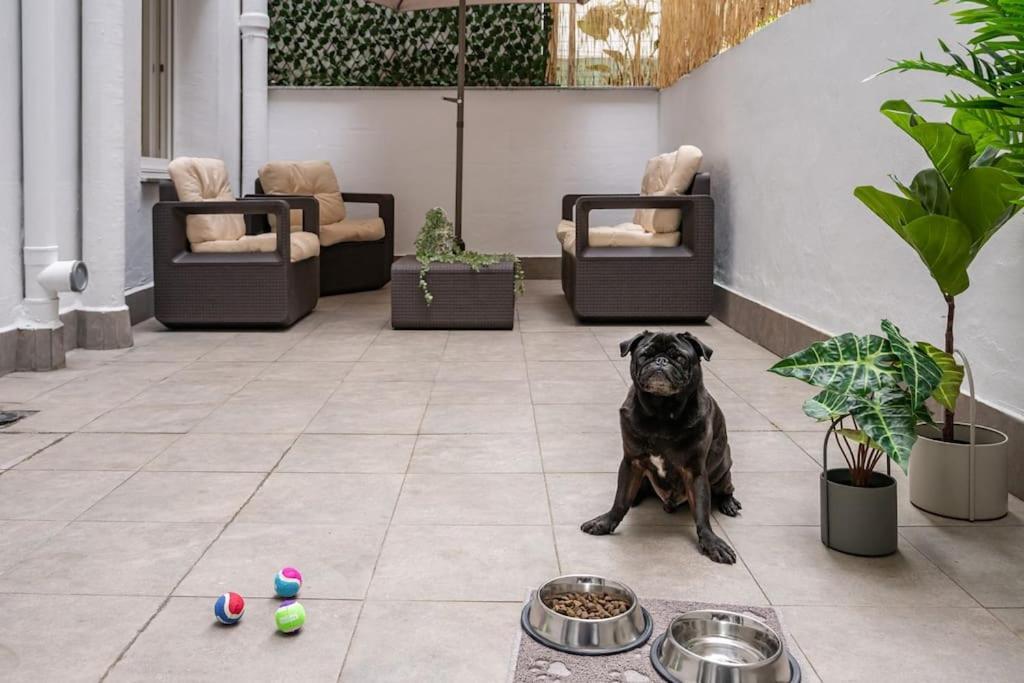希洪El Patio De Schulz公寓 外观 照片